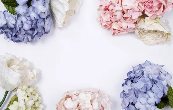 Цветы, фон, blue, pink, flowers