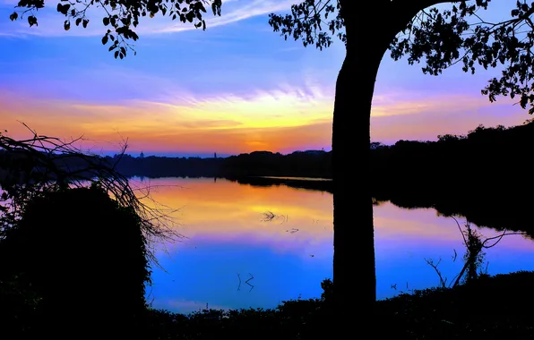 Sun, Water, Sunrise, Dawn, Morning, Lake, Trees, Reflection