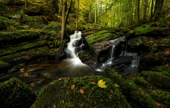 Лес, камни, водопад, мох, осенние листья