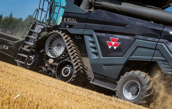 Пыль, Колеса, Лестница, 2018, Massey Ferguson, Зерно, Комбайн, Massey Ferguson Ideal 9T