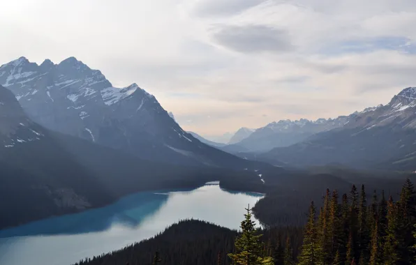 Landscape, nature, mountains, scenery, valley, aerial, HD wallpaper