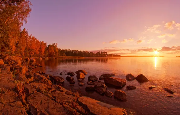 Солнце, деревья, озеро, берег, Финляндия, Rantapuisto area, Ramsinruska, Petrijuntunen