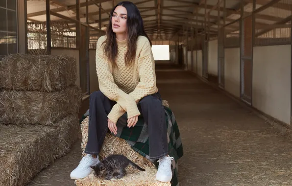 Картинка long hair, model, women, brunette, cats, Kendall Jenner, sweater