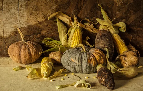 Кукуруза, урожай, тыква, натюрморт, овощи, autumn, still life, pumpkin