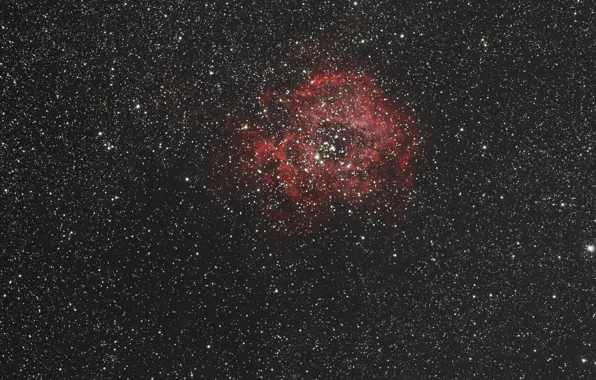 Единорог, в созвездии, Rosette Nebula, Туманность Розетка