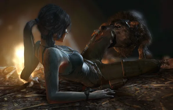 Волк, хищник, зубы, укус, Tomb Raider, лара крофт, Lara Croft