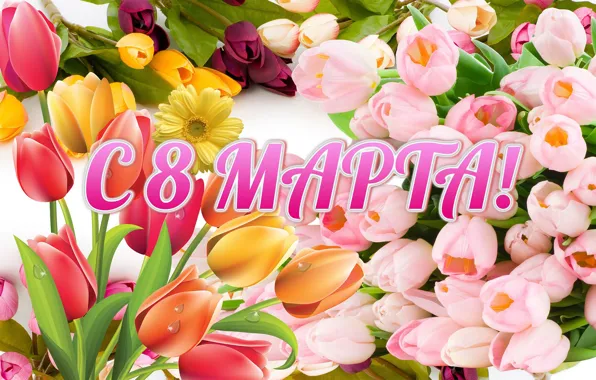 Картинка цветы, тюльпаны, 8 марта