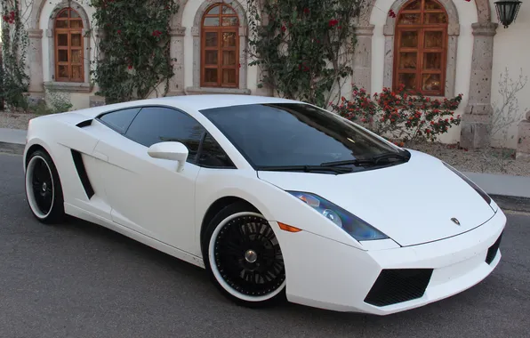 Картинка белый, чёрные, здание, окна, фонарь, white, gallardo, lamborghini