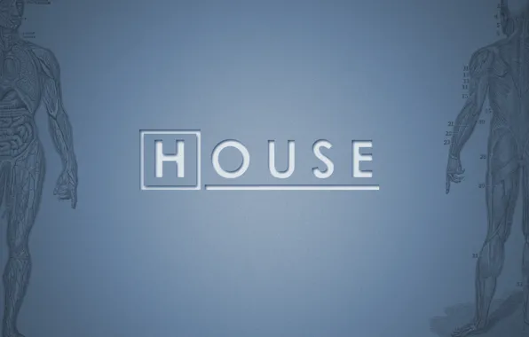 Картинка House, Хаус, M.D., телесериал
