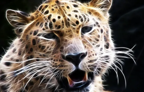 Картинка усы, взгляд, морда, леопард, 3D графика