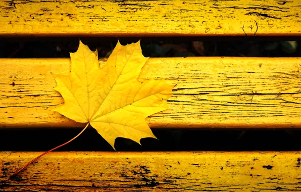Осень, скамейка, желтый, лист, фон, настроение, цвет, желтый лист