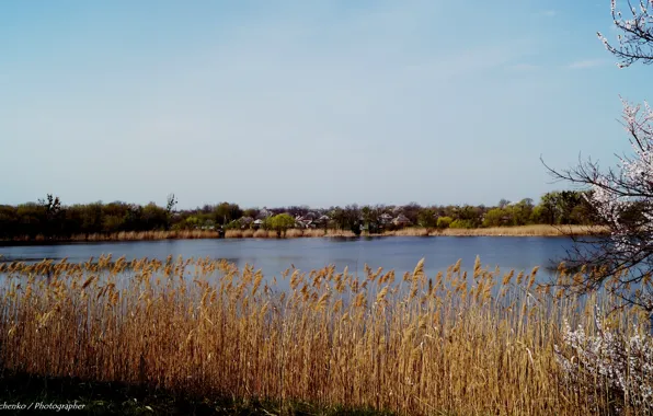 Рыбалка, весна, украина