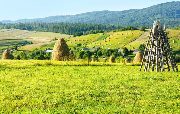 Картинка поле, лес, горы, природа, стог, сено, Украина, Карпаты