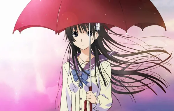 Картинка девушка, капли, зонт, аниме, арт, цветочек, sanka rea, sankarea