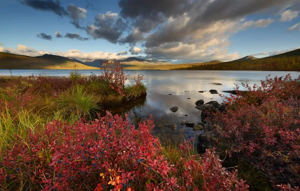 Картинка осень, пейзаж, горы, берег, листва, красная, водоем, кустарники