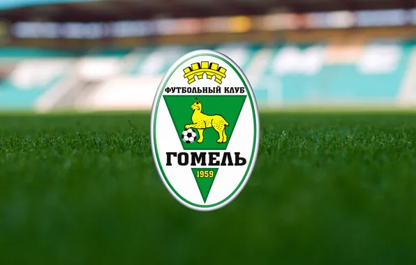 Football, fanart, belarus, беларусь, fc gomel, гомель, gomel