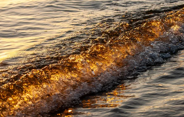 Море, волны, природа, прибой