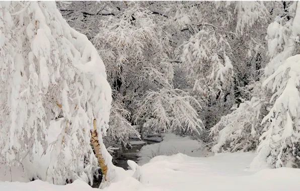 Зима, Снег, Мороз, Winter, Frost, Snow, Сугробы