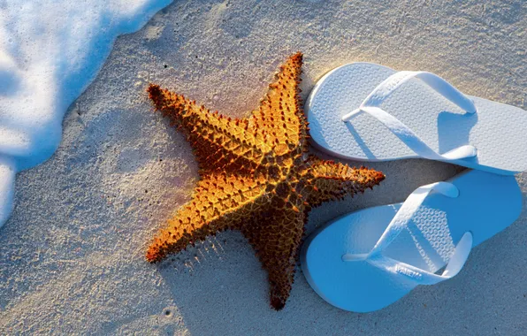 Summer, beach, sea, sand, vacation, starfish, step-ins