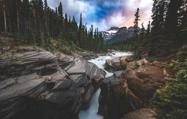 Картинка cloud, plant, yoho National Park in canada, bow river trail, banff National Park