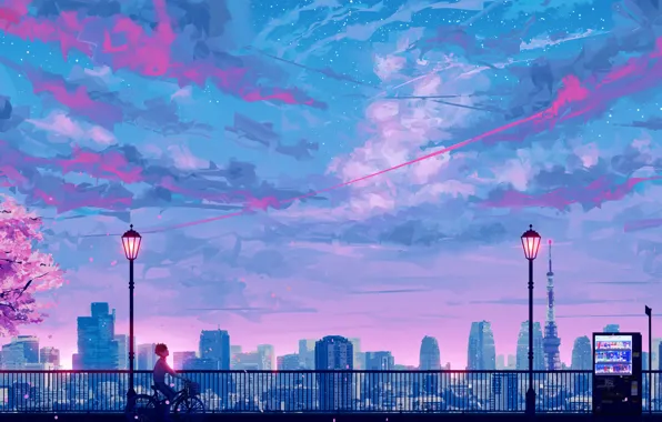 Небо, закат, велосипед, сакура, парень, остановка, by SeerLight