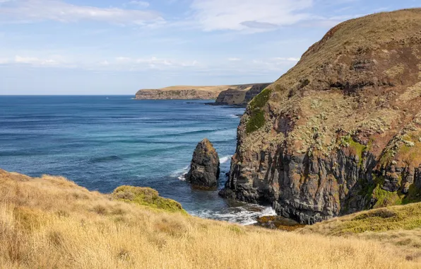 Картинка field, sea, landscape, coast, nature, Australia, cliff