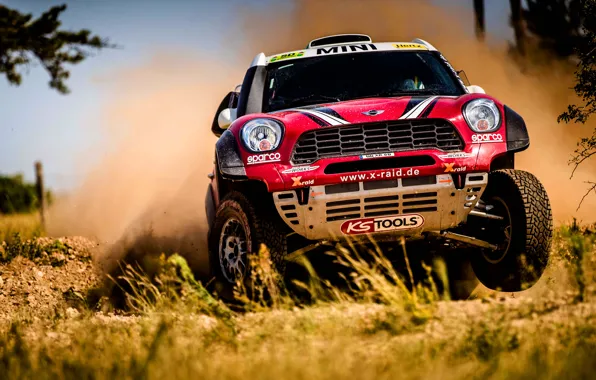 Красный, Авто, Mini, Пыль, Спорт, Скорость, Гонка, Rally
