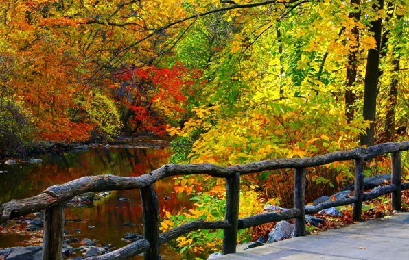 Картинка осень, лес, листья, вода, деревья, горы, природа, парк
