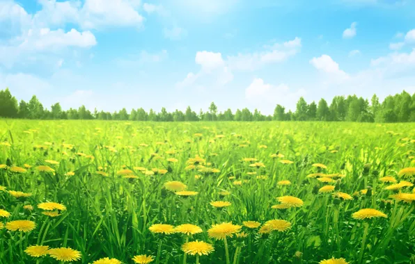 Картинка трава, деревья, пейзаж, цветы, природа, grass, trees, landscape