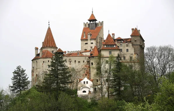 Картинка фото, Город, Деревья, Замок, Румыния, Bran Castle