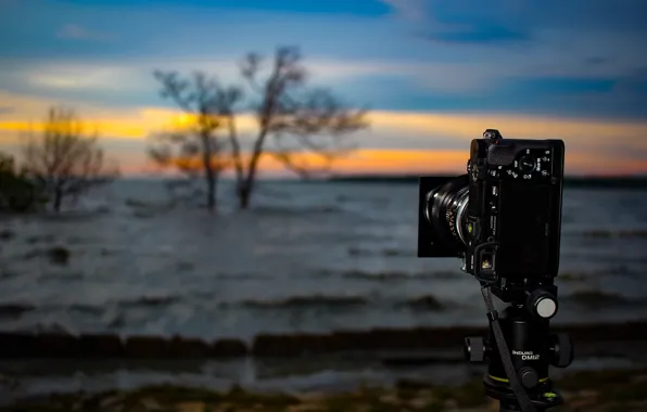 Waves, Sony, twilight, trees, sunset, camera, lake, dusk