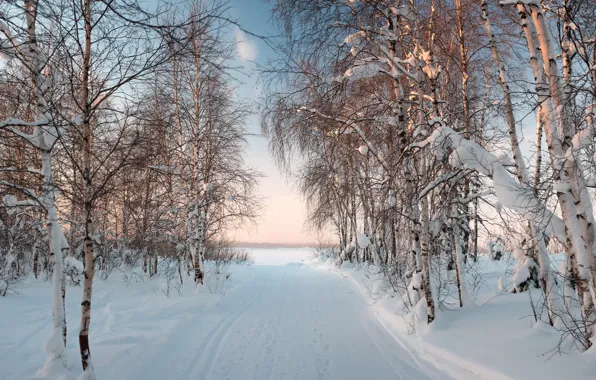 Картинка зима, солнце, пейзаж, вечер, мороз