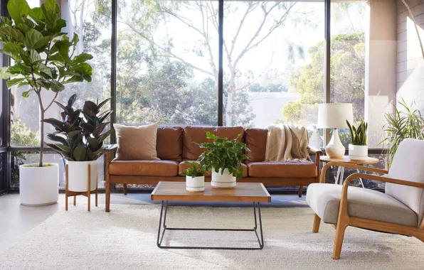 Дизайн, стиль, интерьер, растения, кресло, софа, гостиная, Mid-century Modern style in interior