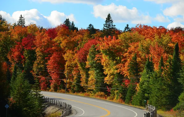 Картинка дорога, осень, лес, небо, облака, деревья