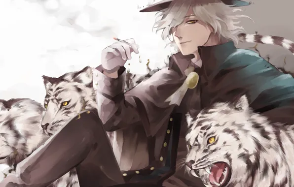 Животные, взгляд, шляпа, арт, парень, тигры, Fate/Grand Order, Судьба/великая Кампания