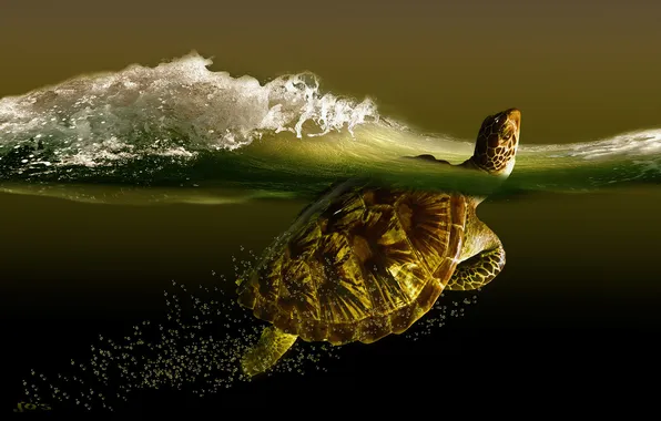Картинка море, волна, черепаха