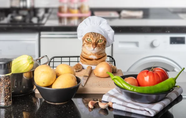 Кошка, кот, взгляд, поза, повар, мордашка, овощи