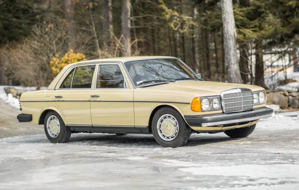 Картинка Mercedes - Benz, 1979, W123, 240D