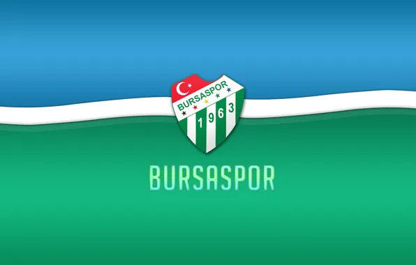 Wallpaper, sport, logo, football, Bursaspor