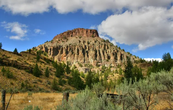 Картинка небо, трава, облака, деревья, горы, склон