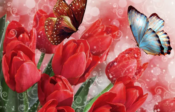Бабочки, весна, Тюльпаны, красные, 8 марта
