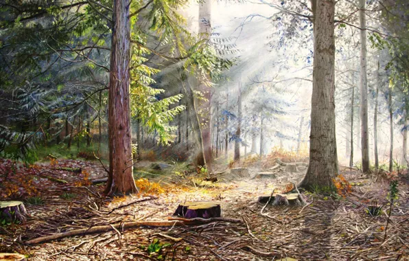 Картинка лес, лето, деревья, рассвет, картина, утро, живопись, пеньки