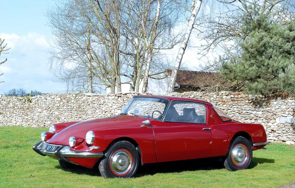 Поляна, забор, Citroen, coupe
