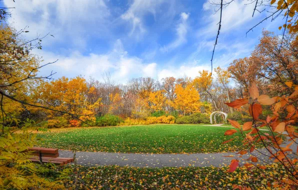 Картинка осень, небо, трава, листья, деревья, парк, лужайка, скамья