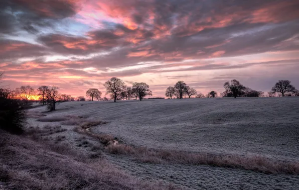 Картинка HDR, trees, field, sunrise, cheshire, silhouette, frost, Bunbury