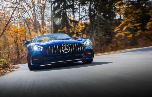 Roadster, Mercedes-Benz, AMG, 2018, GT C