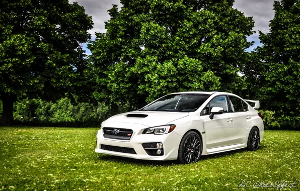 Белый, Subaru, white, субару, sti, сти, wrx sti, 2015