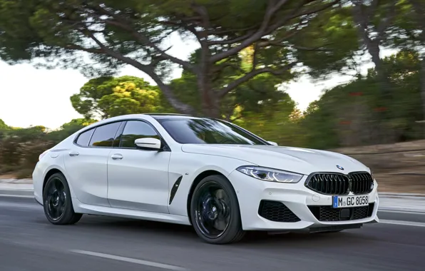 Картинка дорога, белый, деревья, купе, BMW, Gran Coupe, 840i, 8-Series