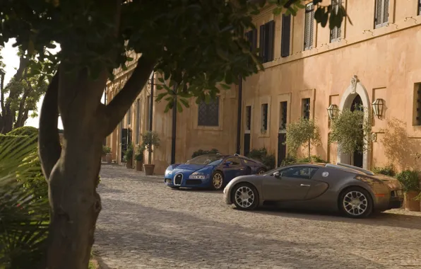 Картинка Дерево, Дом, Свет, Bugatti Veyron