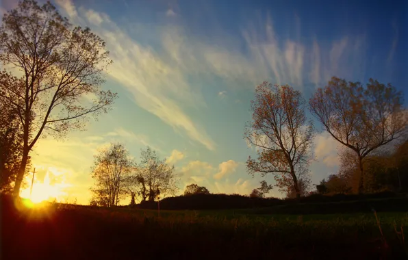 Картинка осень, деревья, рассвет, Nature, trees, autumn, sunrise